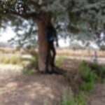 ब्रेकिंग न्यूज,,, पेड़ पर सड़ी-गली अवस्था में लटका मिला युवक की लाश