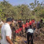 ब्रेकिंग न्यूज,,,शिकारियों के आतंक से दहला जंगल, सांभर का शिकार…अवशेष से सुराग जुटाने मे जुटी विभाग