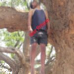 सारंगढ़ ब्रेकिंग न्यूज,,, तालाब किनारे पेड़ पर लटकी मिली अज्ञात व्यक्ति की लाश, क्षेत्र में सनसनी