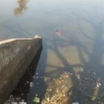 ब्रेकिंग न्यूज!!! तालाब में तैरती मिली बुजुर्ग महिला की लाश, गांव में फैली सनसनी