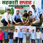 सहकारिता सप्ताह के तहत कोसीर समिति में वृक्षारोपण, पर्यावरण संरक्षण का लिया संकल्प